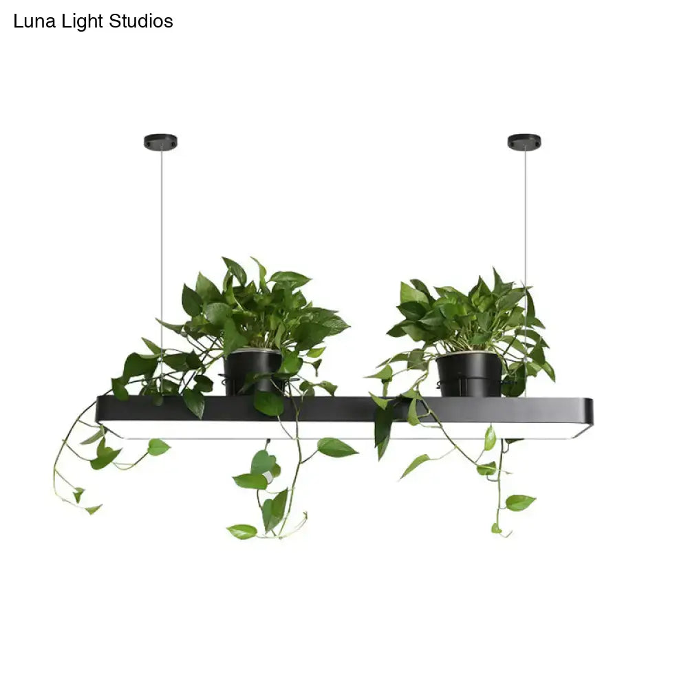Black rectangular pendant light fixture with integrated warm white led illumination and two hanging acrylic planters