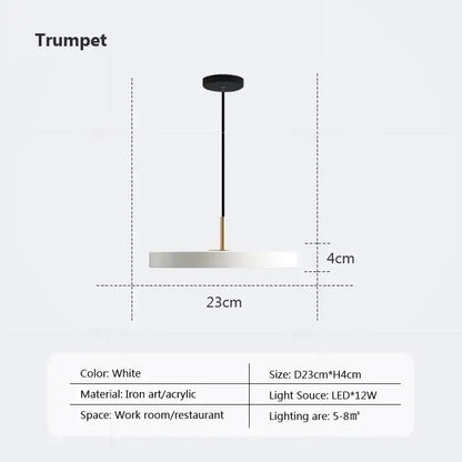 White modern decorbites led pendant light with iron and acrylic design featuring led bulb for indoor use