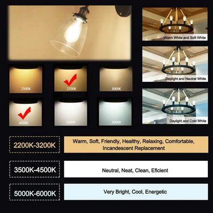 Decorbites low voltage led bulb with clear glass shade warm 2700k light and black metal base for retro cabin use