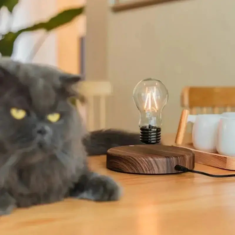Decorbites magnetic levitation lamp floating edison-style glass bulb with warm glow on dark wood base for home office decor