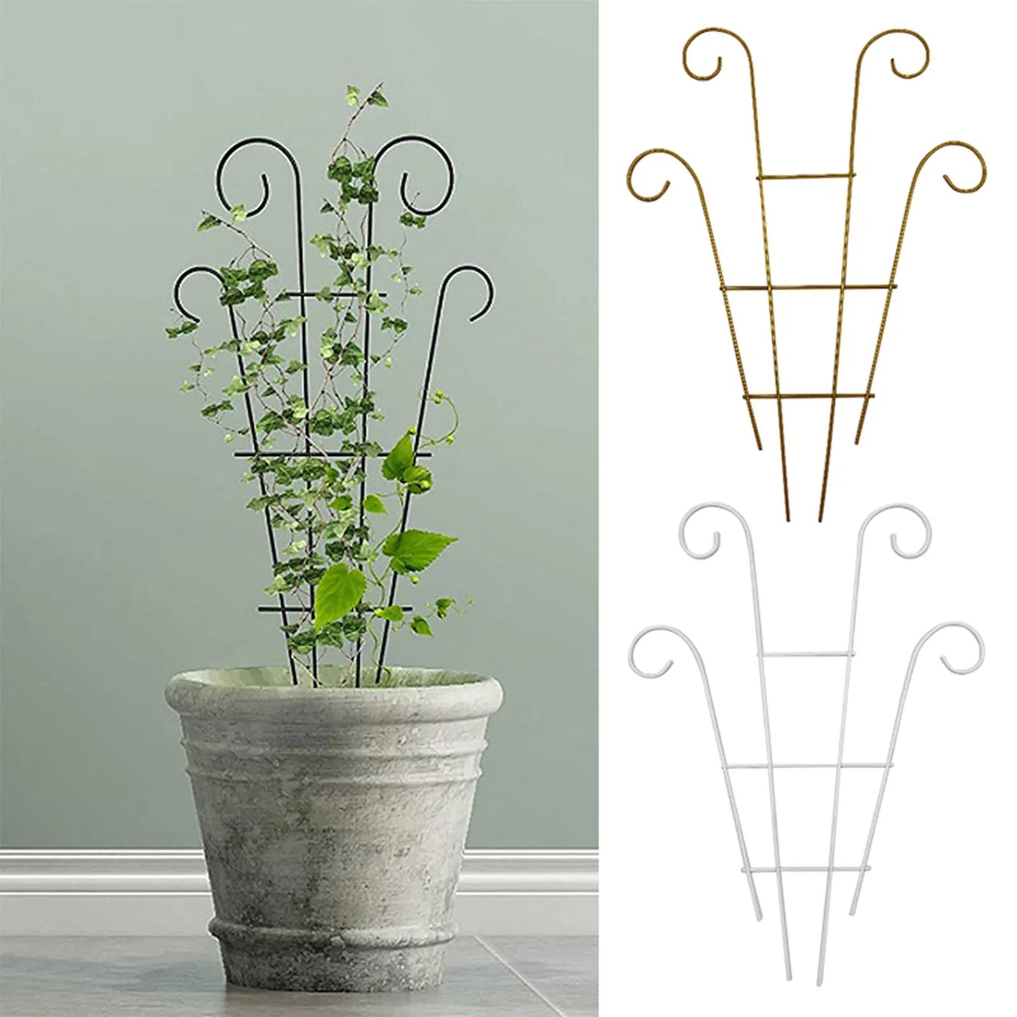 Black wrought iron metal garden plant stand with curved ornate ends supporting climbing vine in textured gray pot