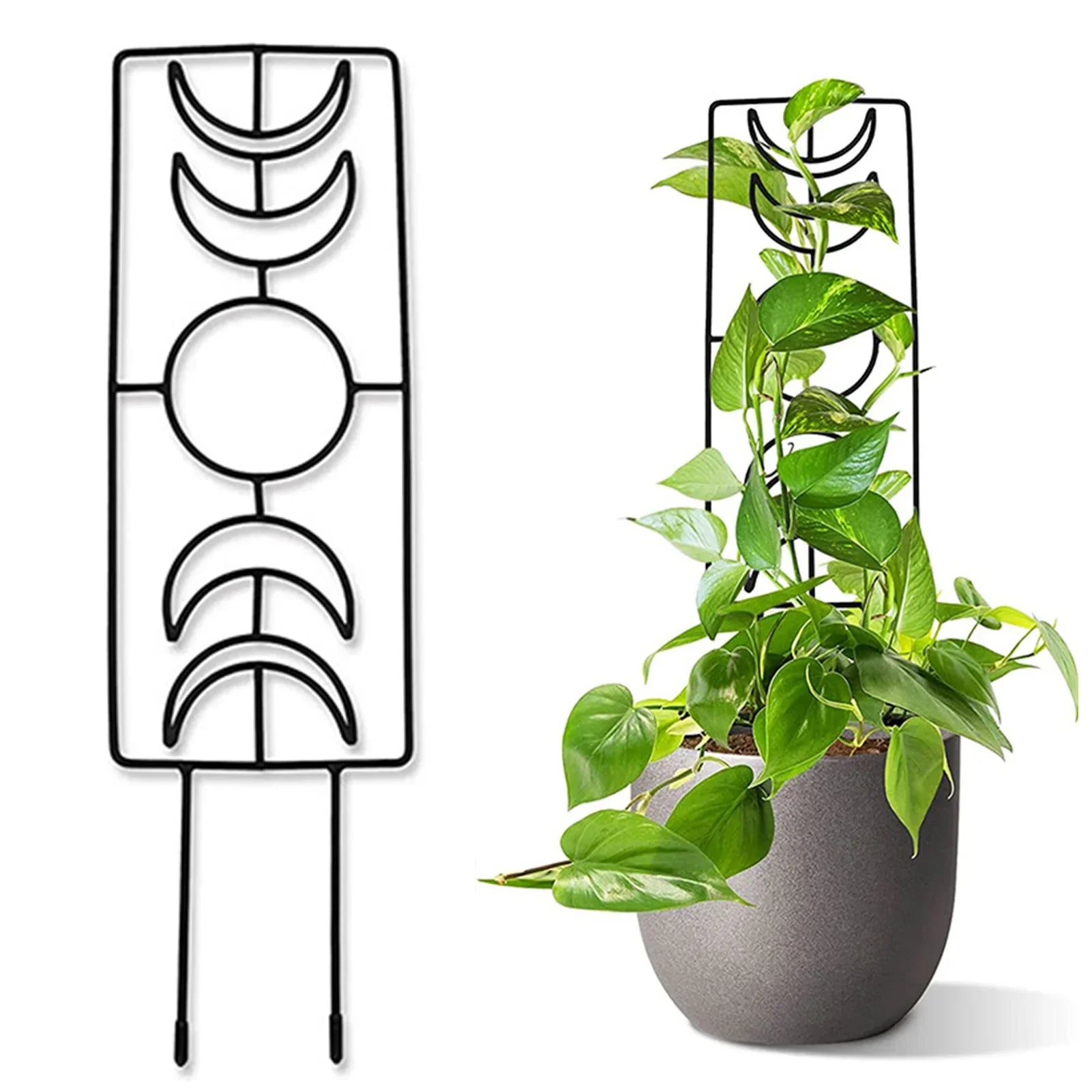 Decorbites metal garden plant stand with black metal moon phase trellis for indoor and outdoor growth