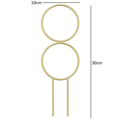 DecorBites metal garden plant stand in gold with two circular rings and stake for indoor and outdoor growth