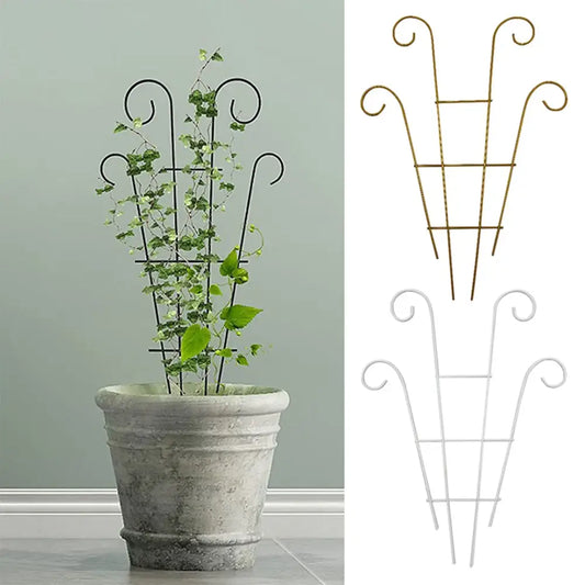 Black wrought iron metal garden plant stand with curved ornate trellis supporting vine in textured gray pot