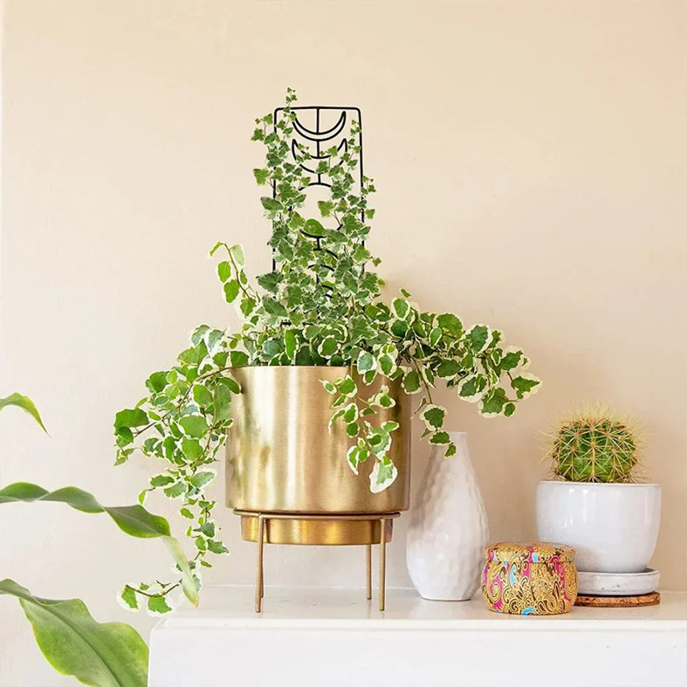 Gold metallic metal garden plant stand with sleek cylindrical design and three slender legs for indoor and outdoor growth