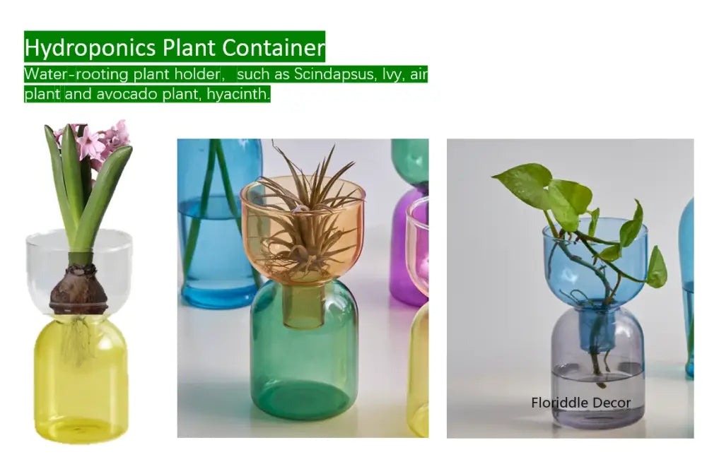 Decorbites™ mini glass vase set featuring a clear hydroponics glass vase with yellow base for water-rooting plants