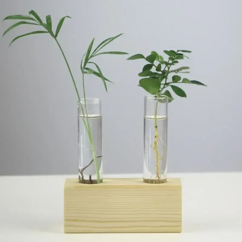 Decorbites™ modern crystal glass test tube vase with clear glass test tubes holding green plants and visible roots on wood base