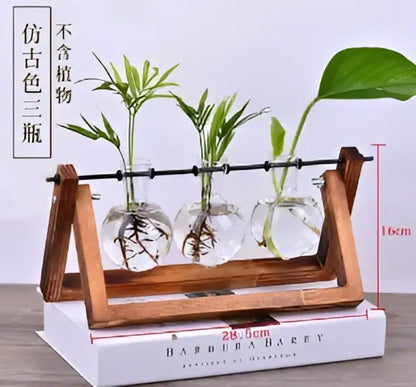 Wooden stand holding three clear crystal glass test tube terrariums with green plants for modern decor use