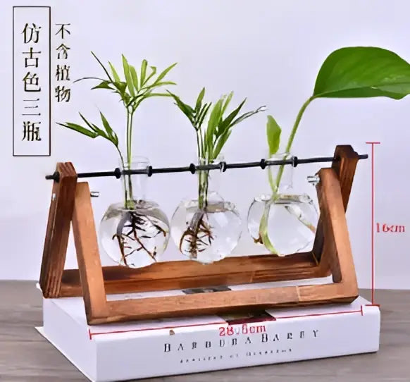 Wooden stand holding three clear crystal glass test tube terrariums with green plants for modern decor use