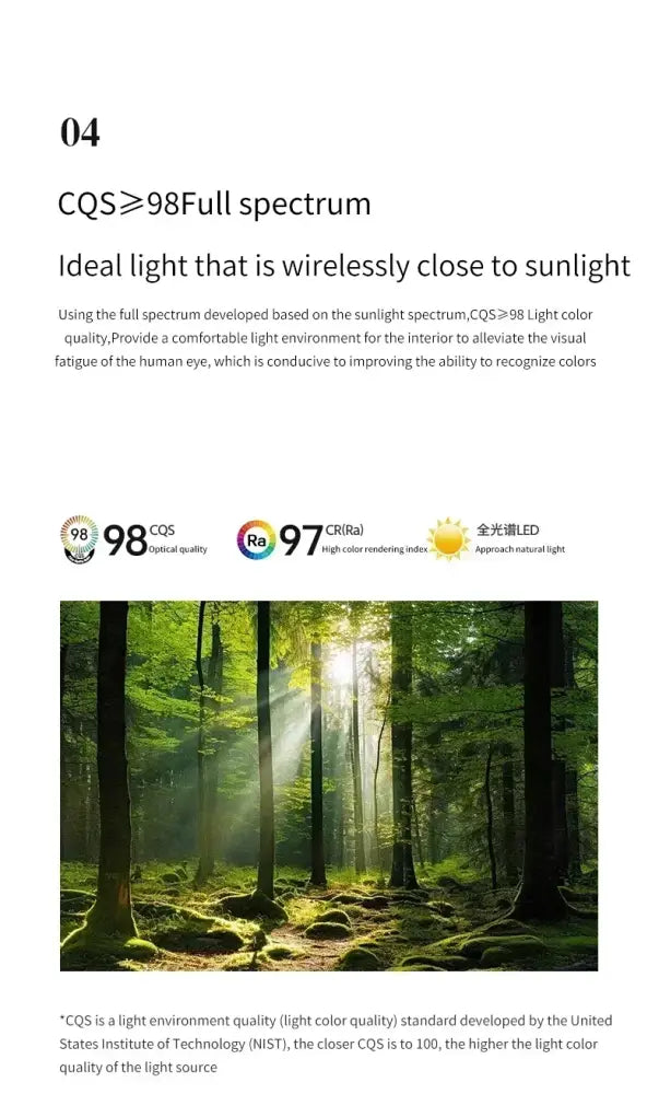 DecorBites™ modern glass dining table pendant light with sunlight forest scene design illuminates dining table area