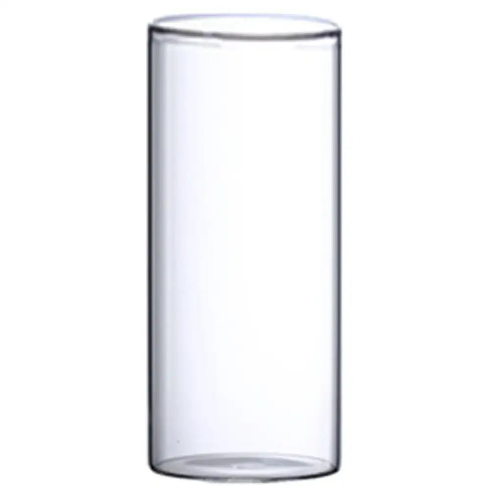 Clear cylindrical glass hydroponic vase from decorbites for modern wedding decor and indoor plant display