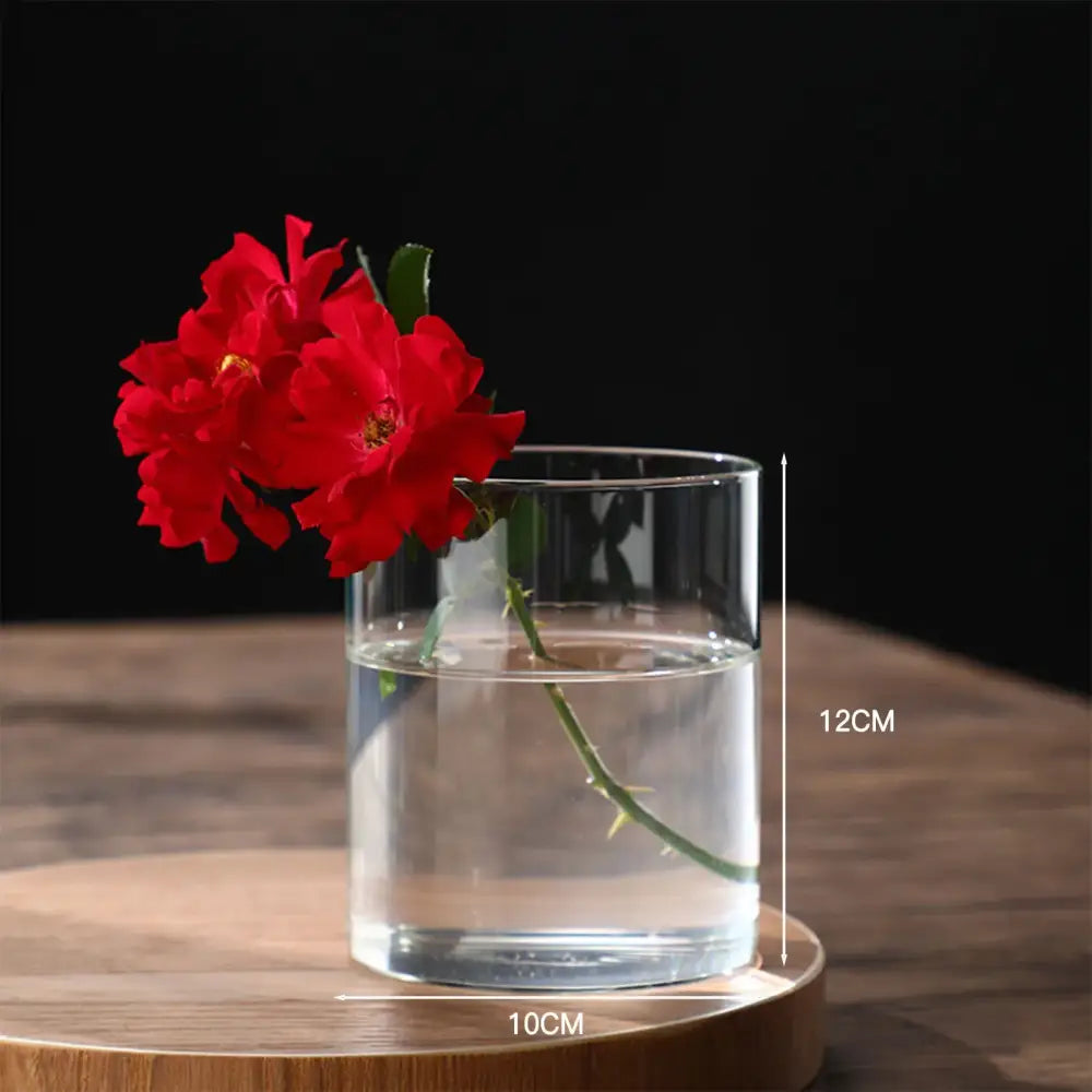 Decorbites™ modern clear glass hydroponic vase with cylindrical shape holding vibrant red roses for wedding decor