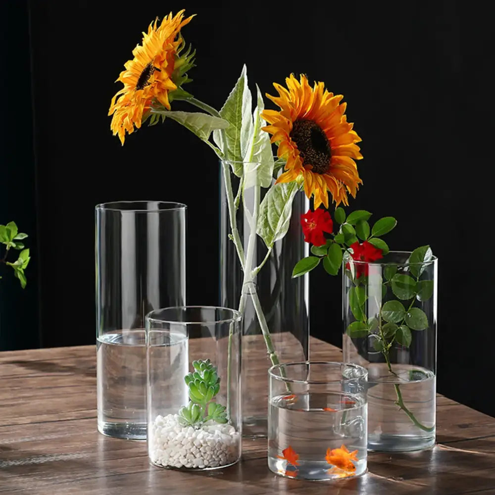 Clear cylindrical glass hydroponic vases in varying heights with sunflowers roses succulents and goldfish for decor