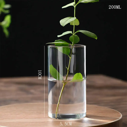 Decorbites™ modern clear glass hydroponic vase with cylindrical shape holding green plant stem for wedding decor
