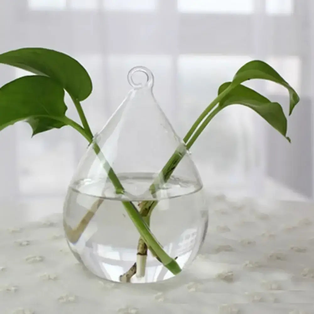 DecorBites™ modern clear glass vase terrarium with teardrop shape and looped top holding green plant stems in water