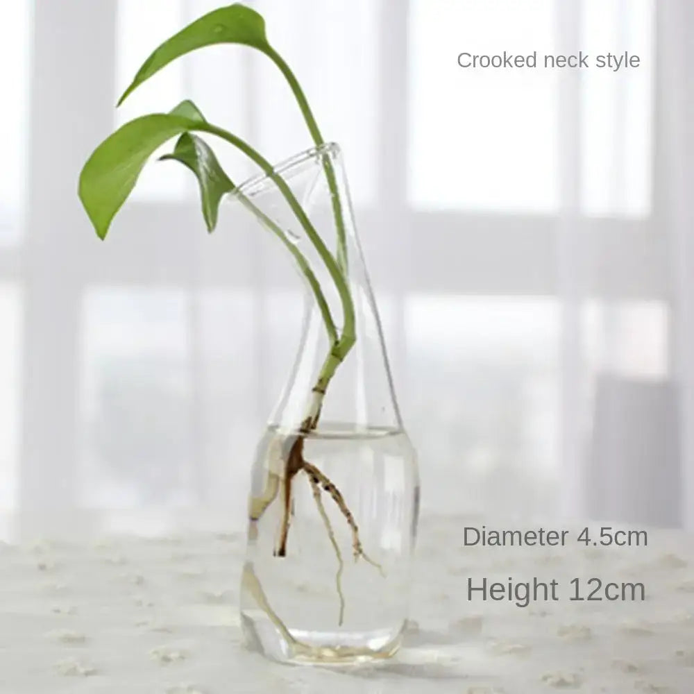 DecorBites™ modern glass vase terrarium with a crooked neck design holding green leafy plant in water