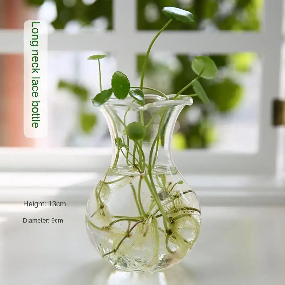 Clear glass vase terrarium with a long slender neck and rounded body for modern decor by DecorBites™
