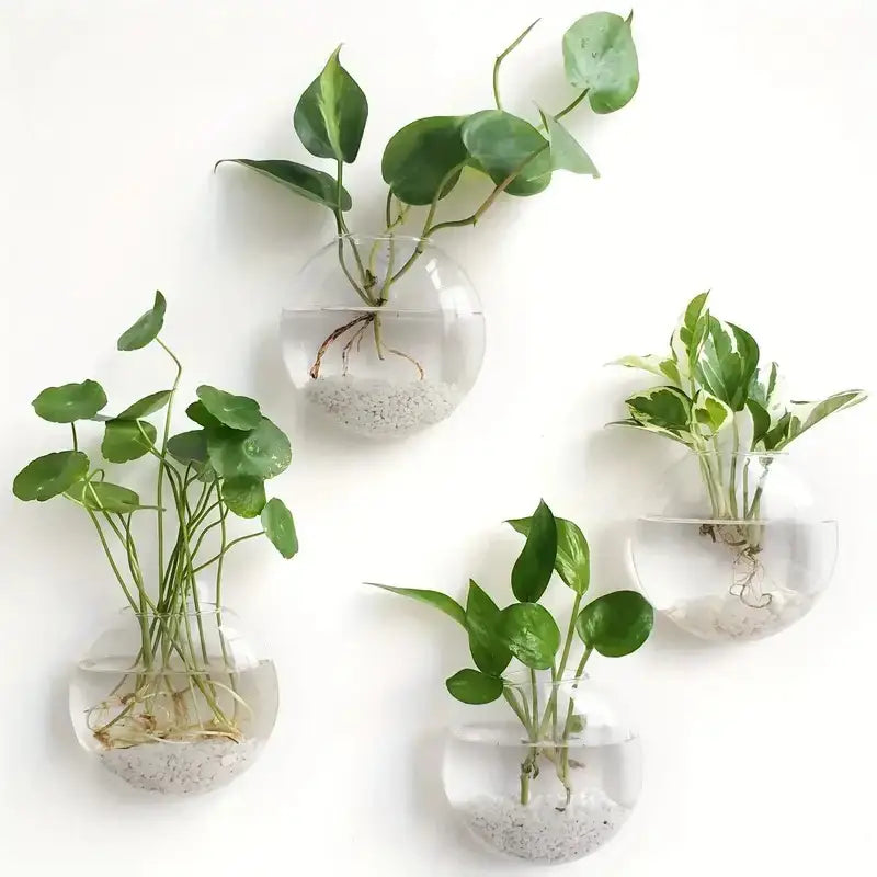Decorbites™ modern hanging glass spherical wall planters with white gravel and green leafy plants for home decor