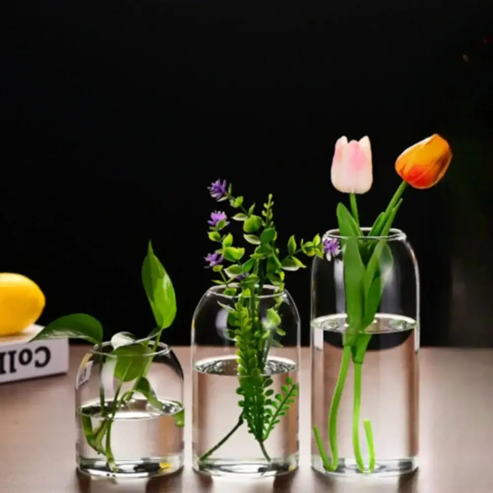 Three clear glass DecorBites™ flower vases of varying heights with artificial greenery as creative hydroponic plants