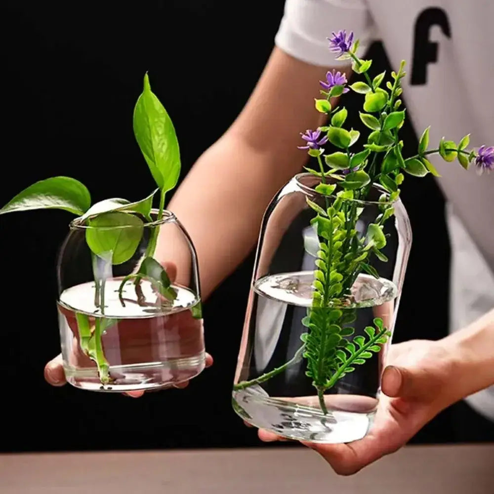 DecorBites™ modern hydroponic glass flower vase set with clear bottles holding green leafy and purple-flowered plants