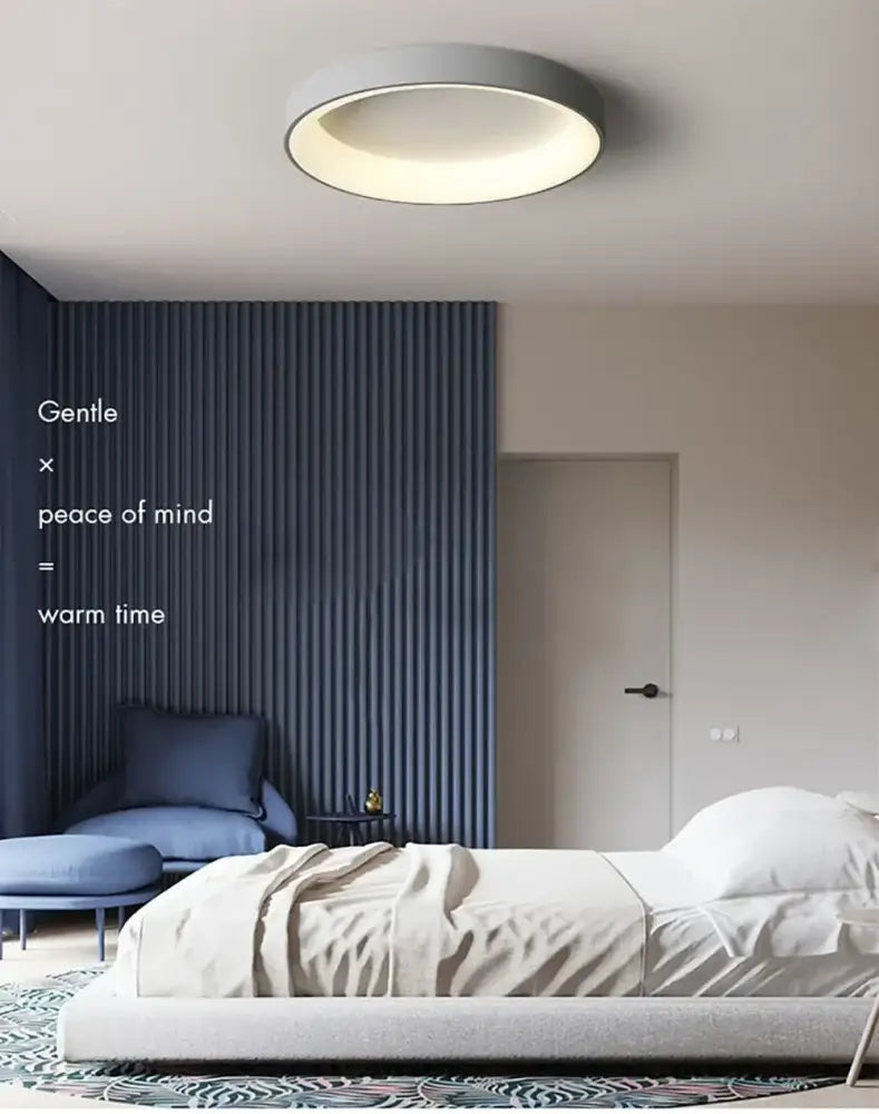 Decorbites modern led ceiling light with sleek gray finish and warm diffused illumination for indoor use