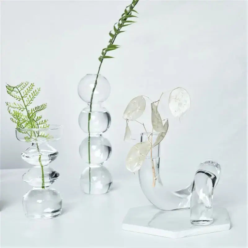 Decorbites modern nordic clear glass vases set with spherical and curved designs holding delicate greenery for decorate root use