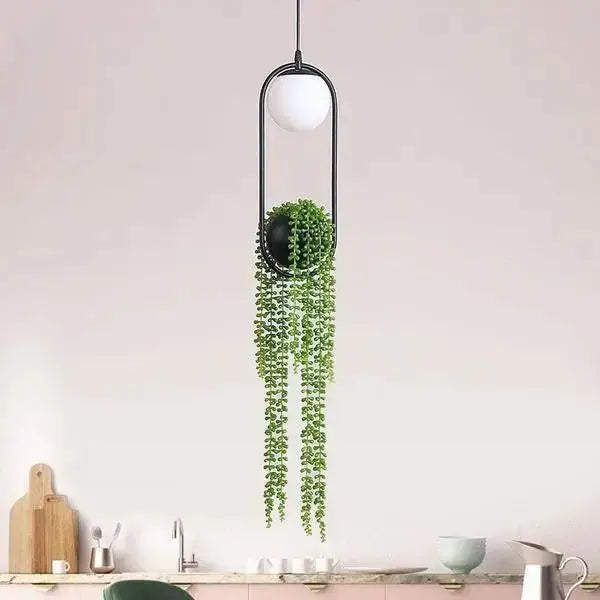 Decorbites™ modern planter pendant lighting features a black metal pendant light with a white bulb and green trailing plant