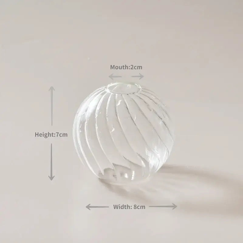 DecorBites modern transparent glass vase with vertical ribbed texture and 2cm mouth to decorate root spaces