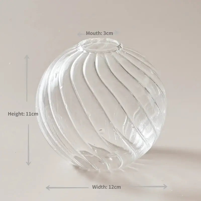 Decorbites modern transparent glass vase set featuring clear spherical vase with vertical ribbed texture and 3cm mouth