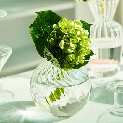 DecorBites modern transparent glass vase with clear ribbed design holding vibrant green hydrangea to decorate root