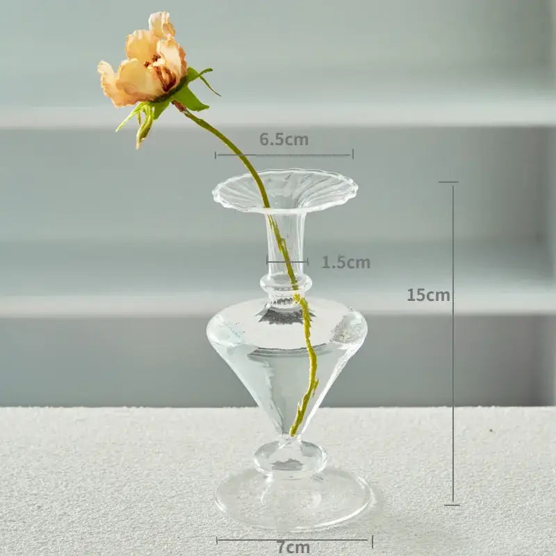 DecorBites™ modern transparent glass vase with fluted rim and tapered silhouette to decorate root spaces