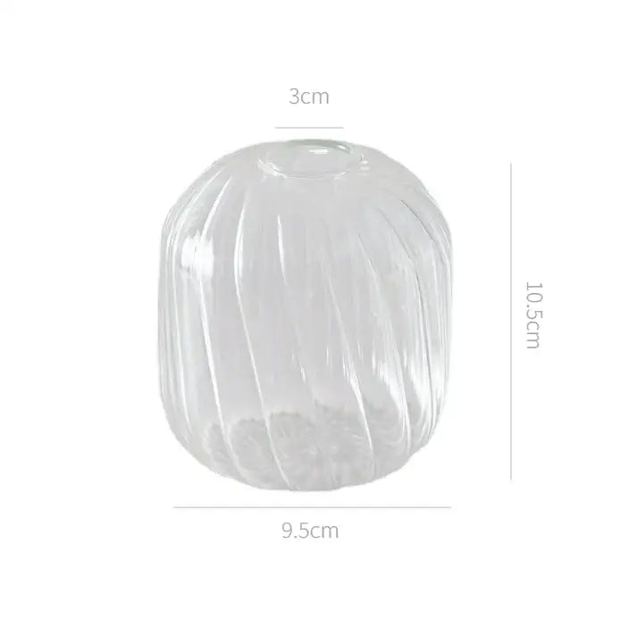 Decorbites modern transparent glass vase with vertical ribbed texture 10.5cm tall 9.5cm wide base for decorate root