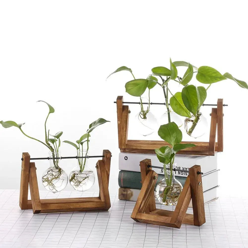 Decorbites™ modern wooden frame glass vase terrarium featuring wooden a-frame planters with clear glass spheres and green plants
