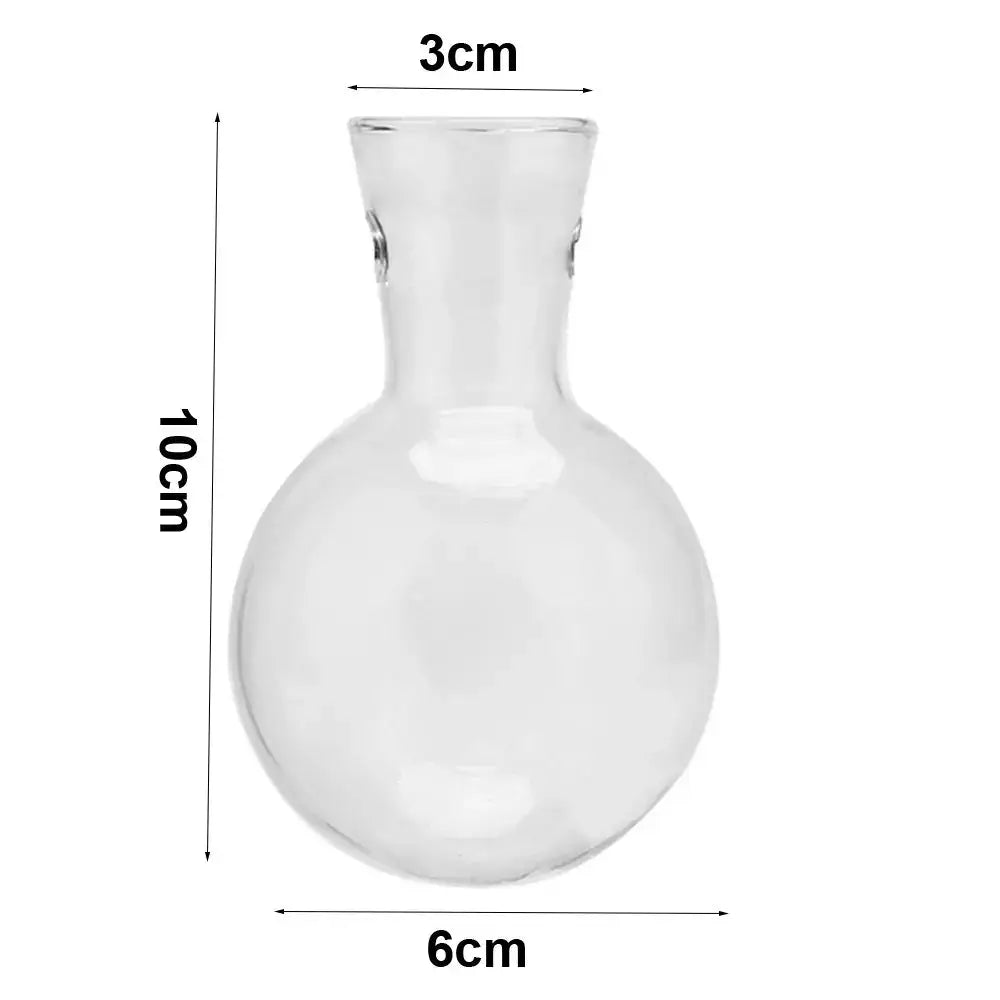 Clear glass vase with rounded base and handles inside a modern wooden frame glass vase terrarium by decorbites