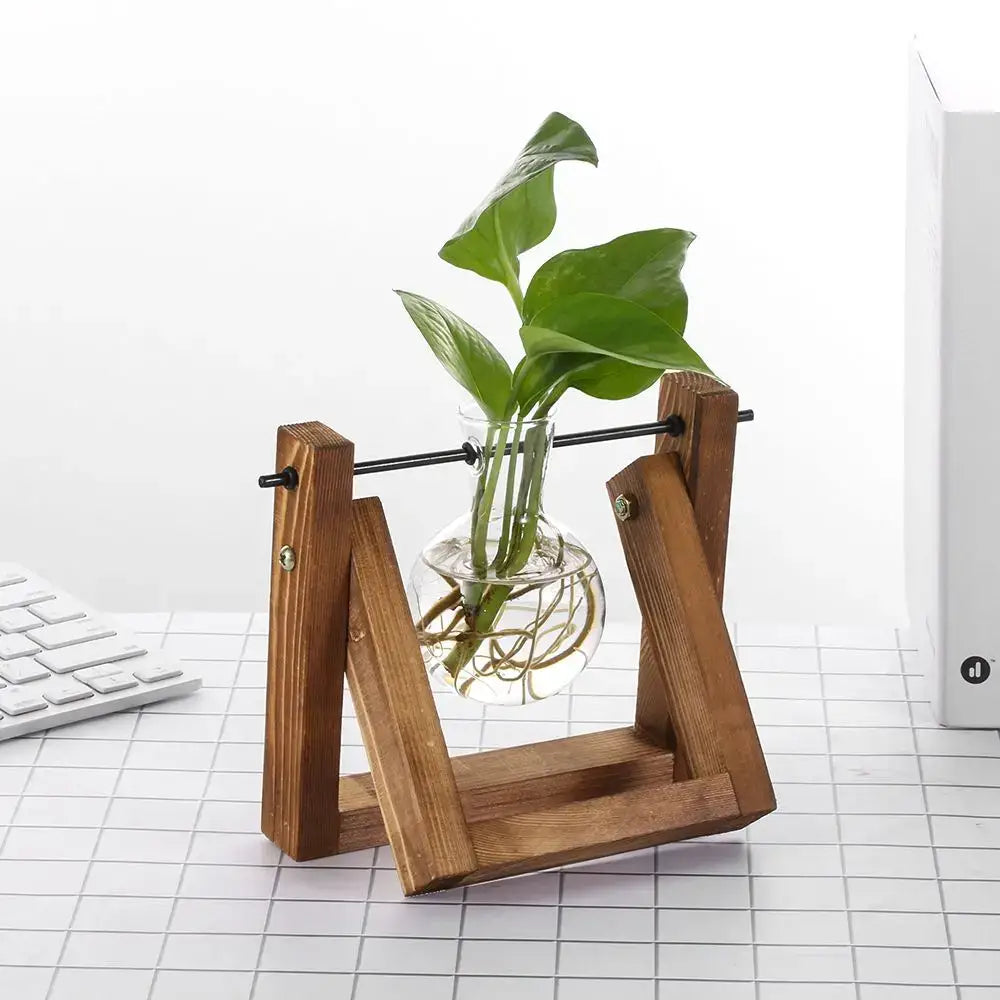 Decorbites™ modern wooden frame glass vase terrarium with a transparent glass vase and vibrant pothos leaves on wooden frame