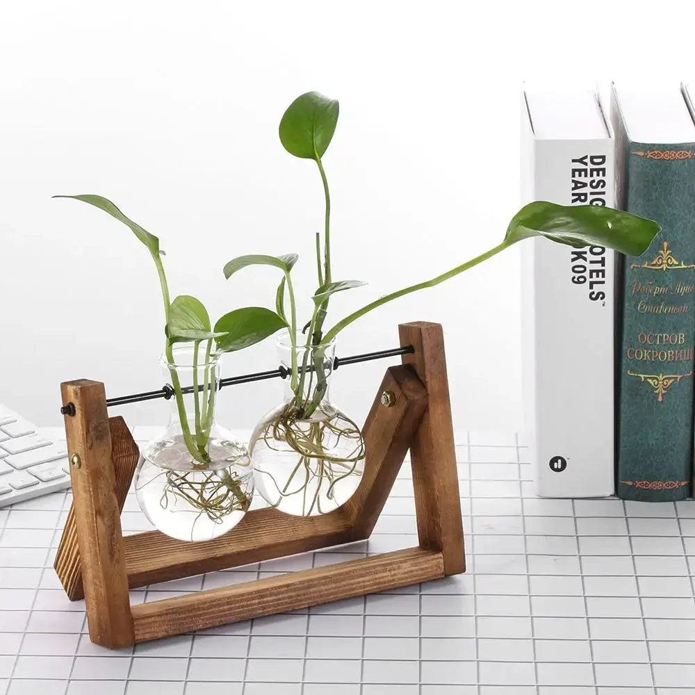 Wooden stand with modern wooden frame glass vase terrarium holding two clear vials with green plants and roots