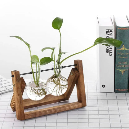 Wooden stand with modern wooden frame glass vase terrarium holding two clear vials with green plants and roots