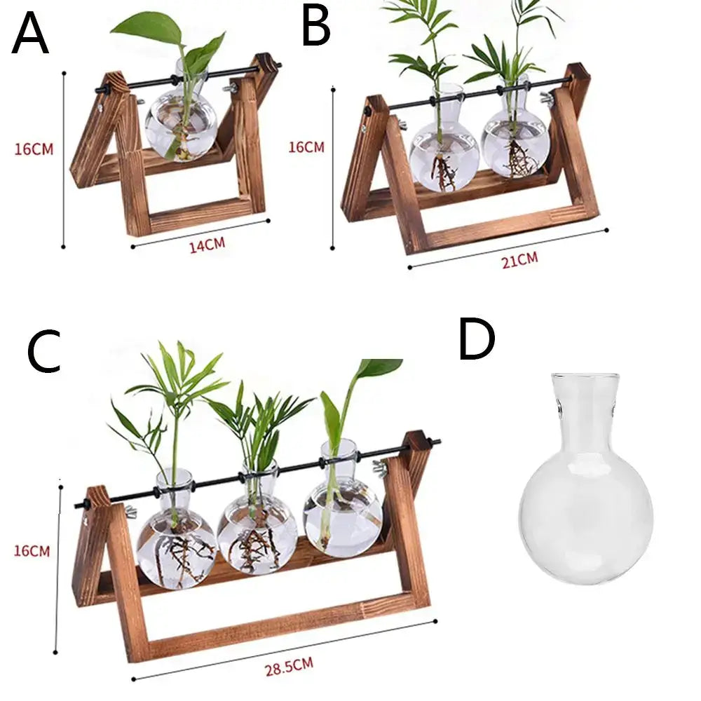 Wooden triangular stand with modern wooden frame and glass vase terrarium holding green plants by decorbites
