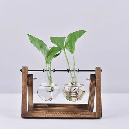 Decorbites™ modern wooden frame glass vase terrarium with two clear glass vases and green plants growing in water