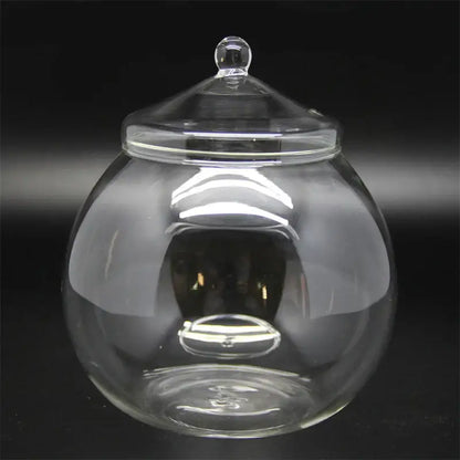 Decorbites™ moss ball glass vase featuring a clear glass jar with matching lid and rounded bulbous body for desktop decor
