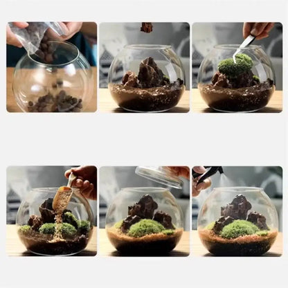 Decorbites™ moss ball glass vase is a clear glass vase with layered soil moss and rocks for desktop decor