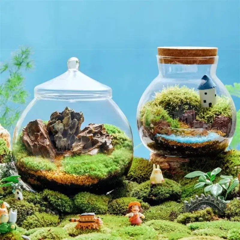 Decorbites™ moss ball glass vase with glass terrariums featuring mossy landscapes and miniature figurines for desktop decor