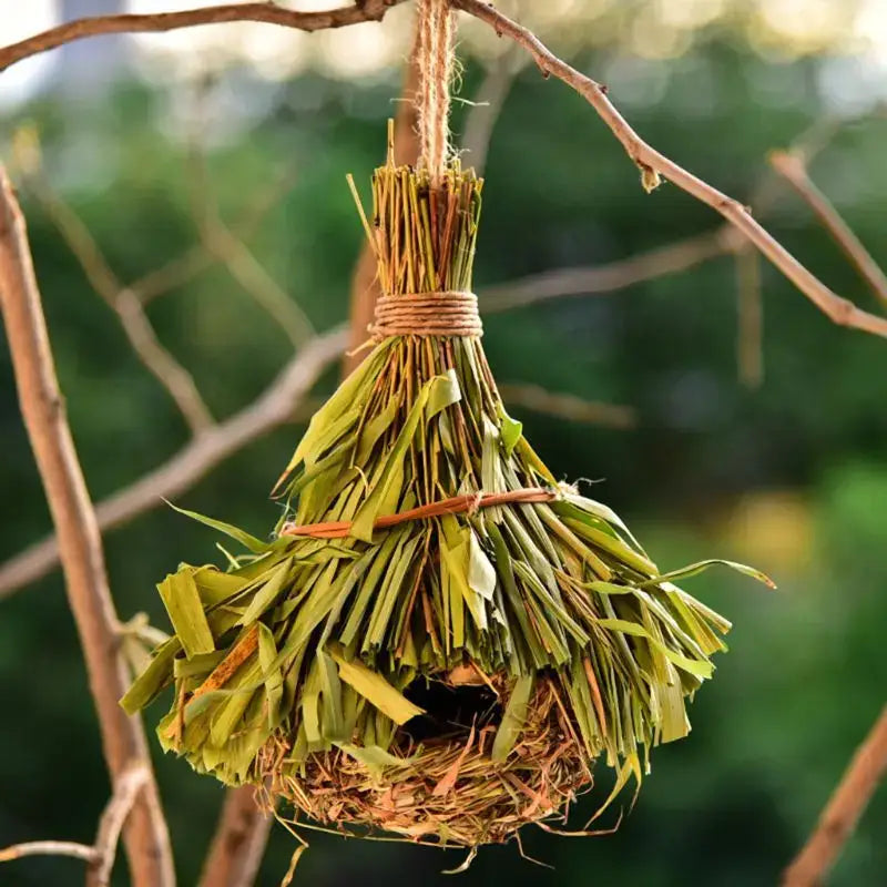 A handcrafted DecorBites™ natural grass bird cage made from woven green leaves and twine for outdoor decor