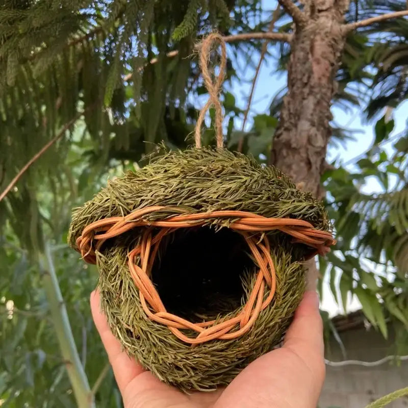 Handcrafted DecorBites™ bird cage made of woven natural grass with orange twine and hanging loop for parrot nest use