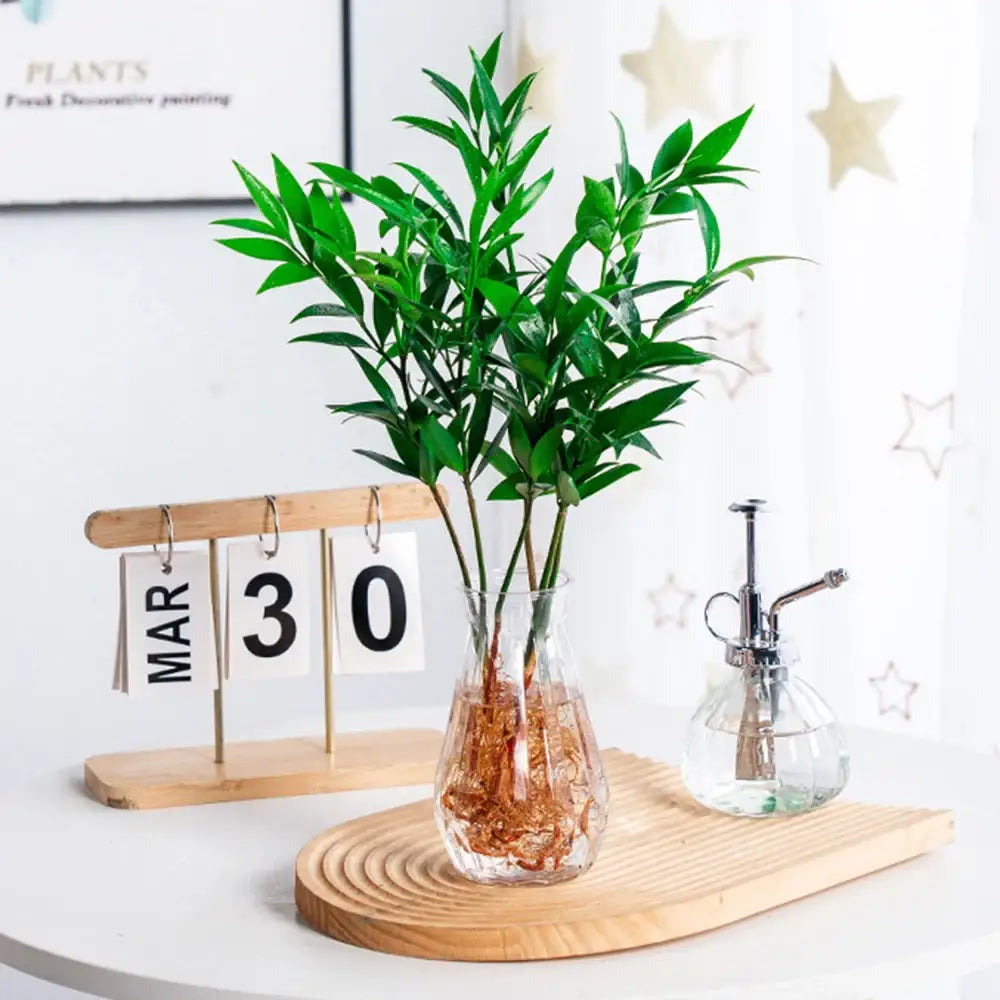 A clear glass nordic flower vase with a bulbous base holding vibrant green foliage for modern home decor
