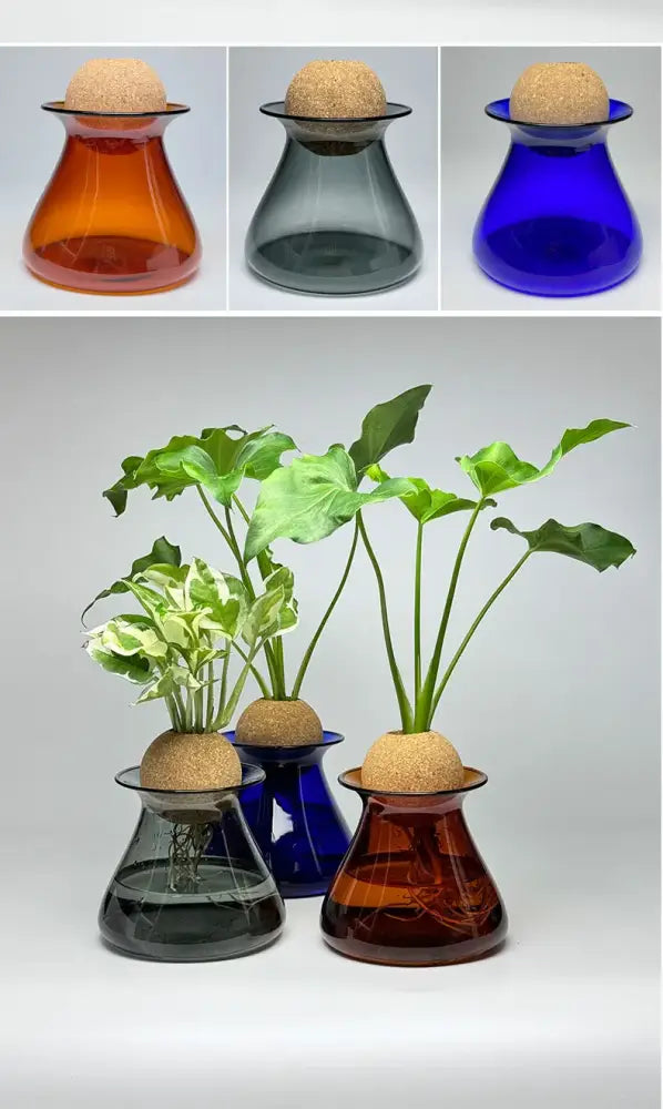 Set of three colorful nordic glass vases with cork tops holding plants for elegant home decor