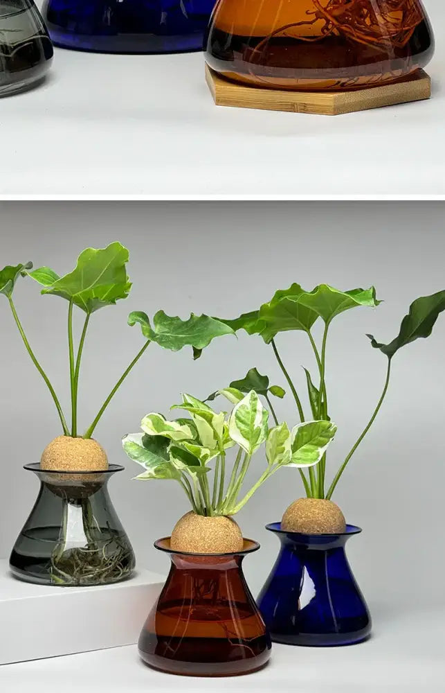 DecorBites™ nordic glass vase set with dark gray amber and blue glass vases holding green plants for home decor