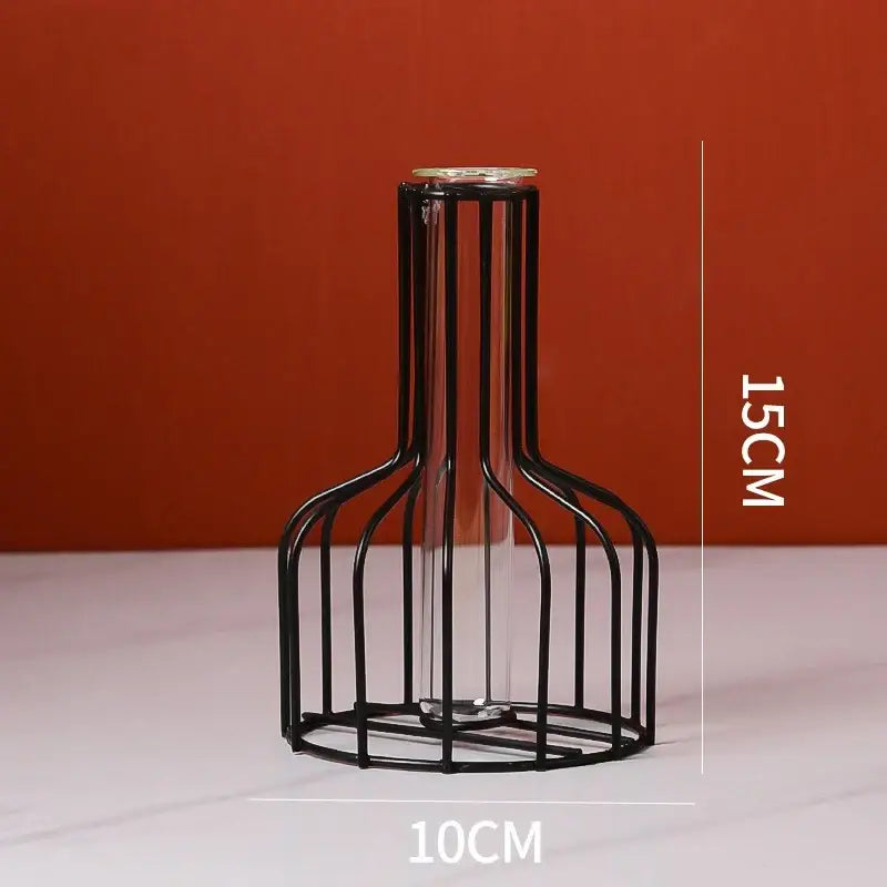 Decorbites nordic golden iron hydroponic table vase with black metal wire cage encasing clear glass vase flower
