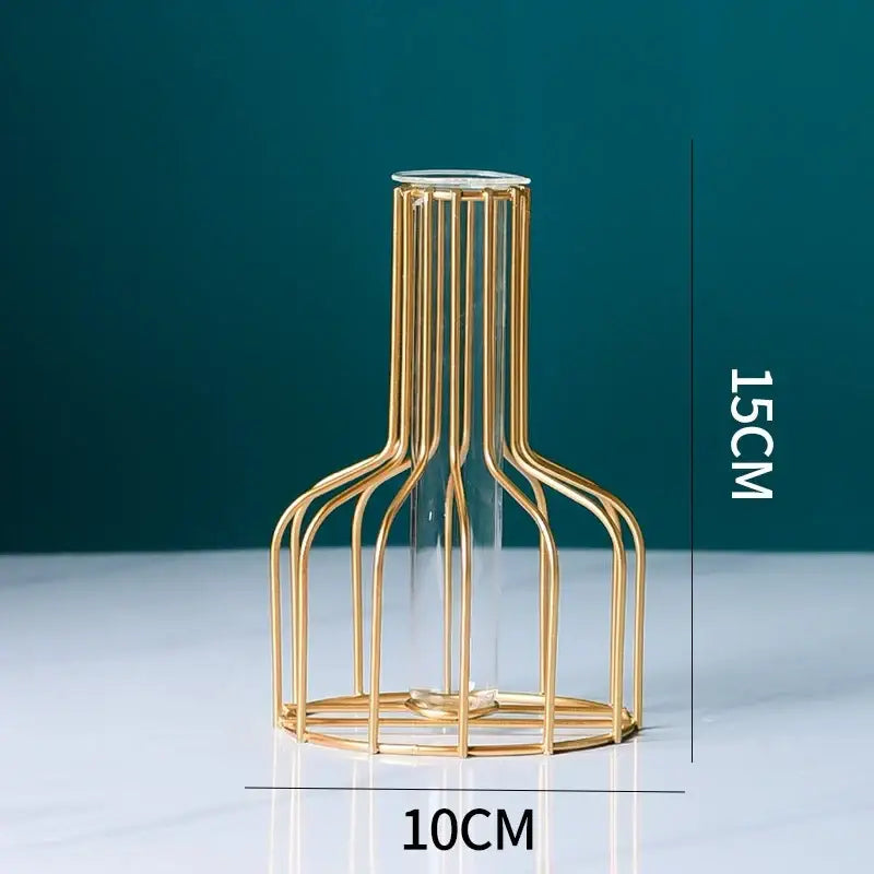 Decorbites™ nordic golden iron hydroponic table vase features a gold wireframe glass vase with a transparent cylinder