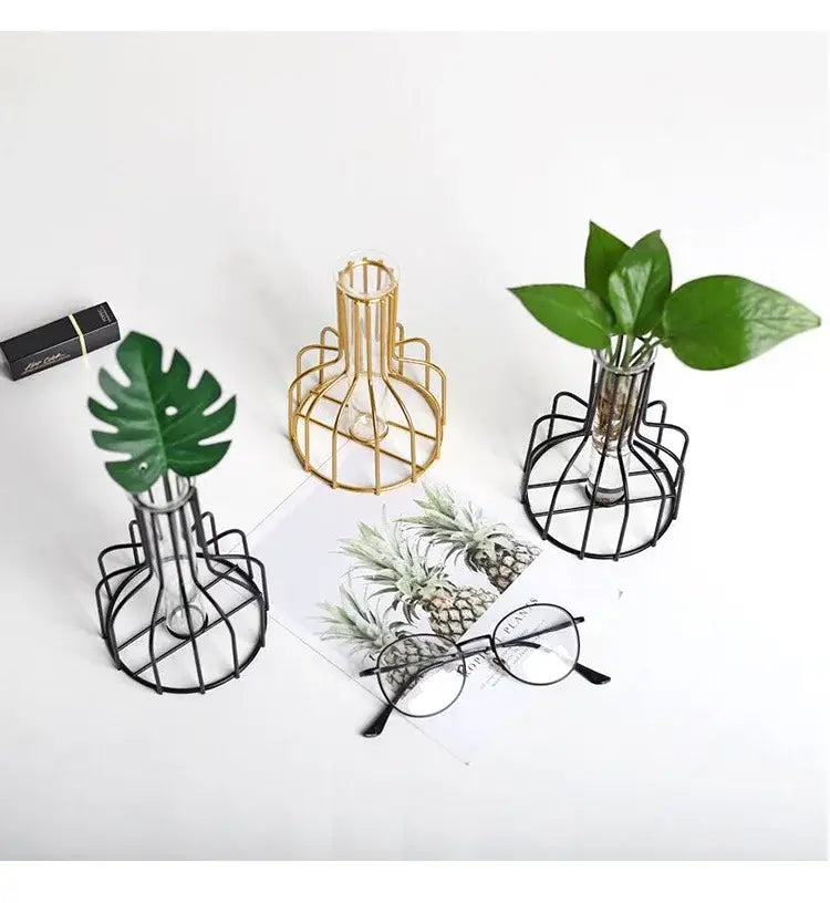 Decorbites™ nordic iron golden hydroponic vase featuring black metal wireframe planters with clear glass vials and dried flowers